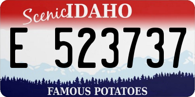 ID license plate E523737