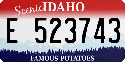 ID license plate E523743