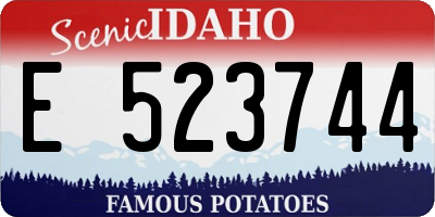 ID license plate E523744