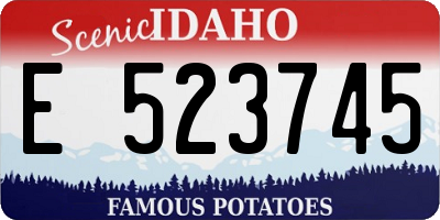 ID license plate E523745
