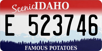 ID license plate E523746