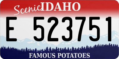 ID license plate E523751