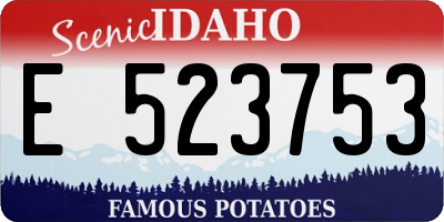 ID license plate E523753