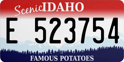 ID license plate E523754