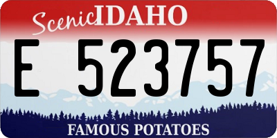 ID license plate E523757