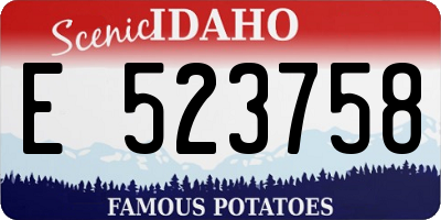 ID license plate E523758