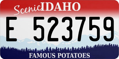 ID license plate E523759