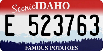 ID license plate E523763