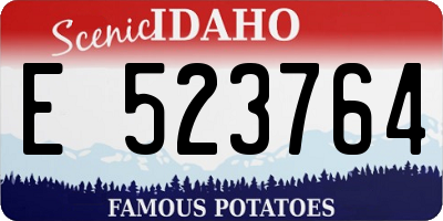 ID license plate E523764