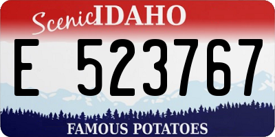 ID license plate E523767