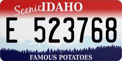 ID license plate E523768