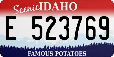 ID license plate E523769