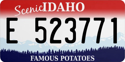 ID license plate E523771