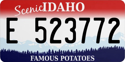 ID license plate E523772