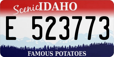 ID license plate E523773