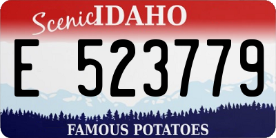 ID license plate E523779