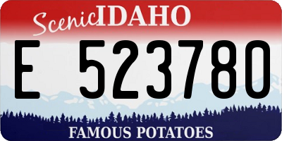 ID license plate E523780