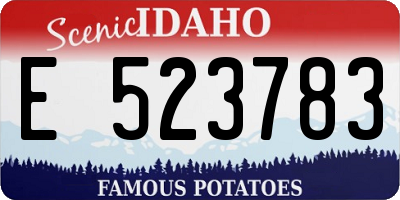 ID license plate E523783
