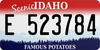 ID license plate E523784