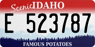 ID license plate E523787
