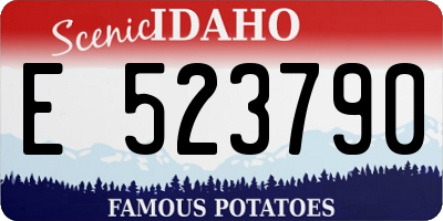 ID license plate E523790