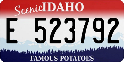 ID license plate E523792