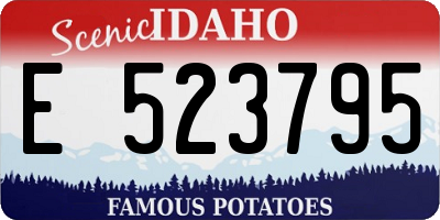 ID license plate E523795