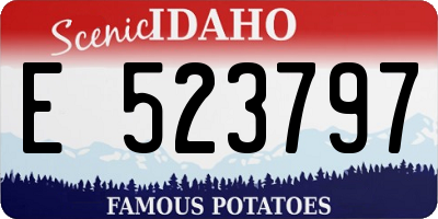 ID license plate E523797