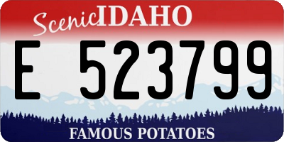 ID license plate E523799