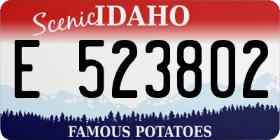 ID license plate E523802