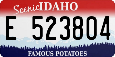 ID license plate E523804