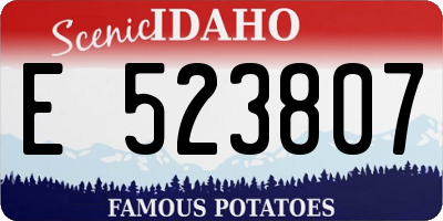 ID license plate E523807