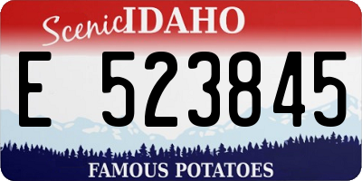 ID license plate E523845