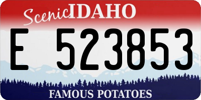 ID license plate E523853