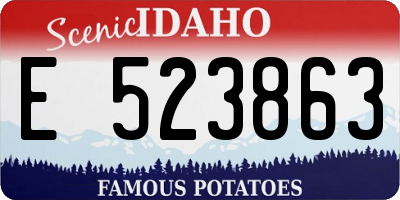 ID license plate E523863