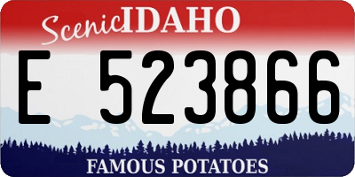 ID license plate E523866