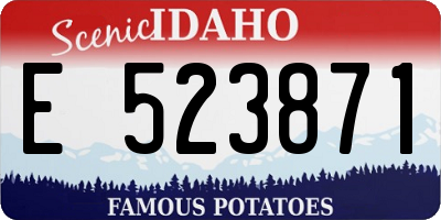 ID license plate E523871