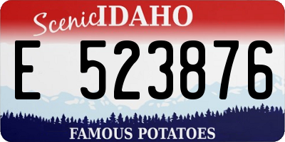 ID license plate E523876