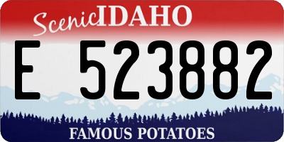 ID license plate E523882