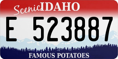ID license plate E523887