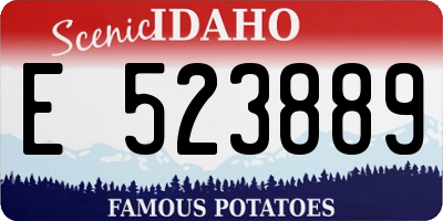 ID license plate E523889