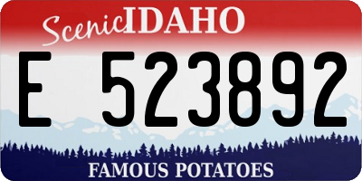 ID license plate E523892