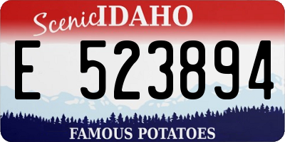 ID license plate E523894