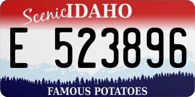 ID license plate E523896