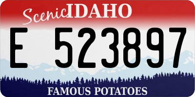 ID license plate E523897