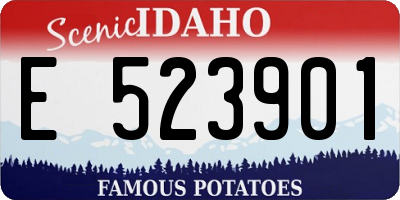 ID license plate E523901
