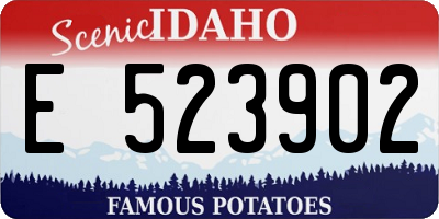 ID license plate E523902