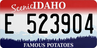 ID license plate E523904