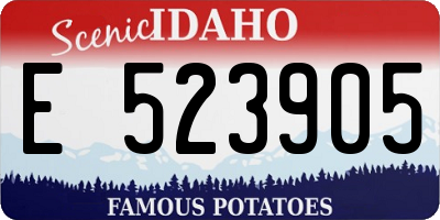 ID license plate E523905