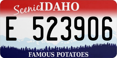 ID license plate E523906
